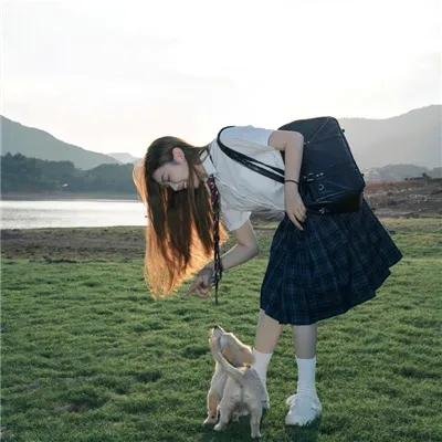 我的灵兽是鲲鹏